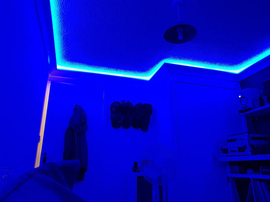 Polystyrene Coving for LED BFS12 Lightweight XPS