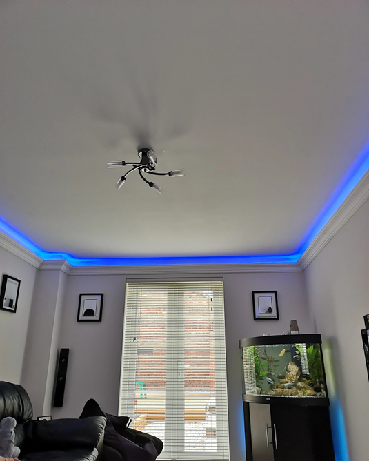 Polystyrene Coving for LED BFS2 Lightweight XPS